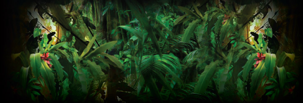 Jungle Wild Background Image