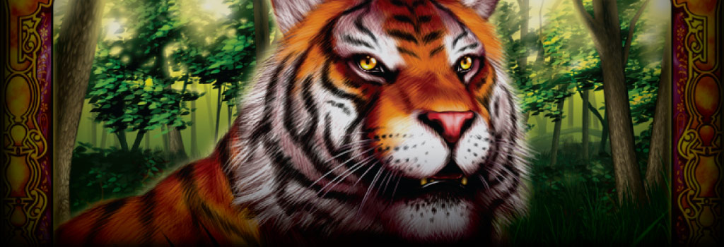 King Tiger Background Image