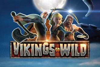 Vikings Go Wild Slot Logo