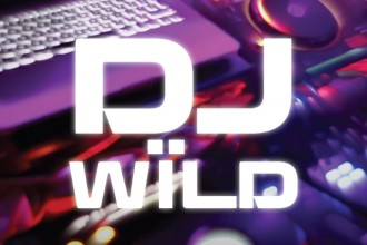 DJ Wild Slot Logo
