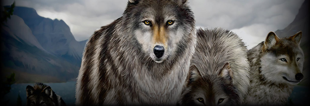 Untamed Wolf Pack Background Image