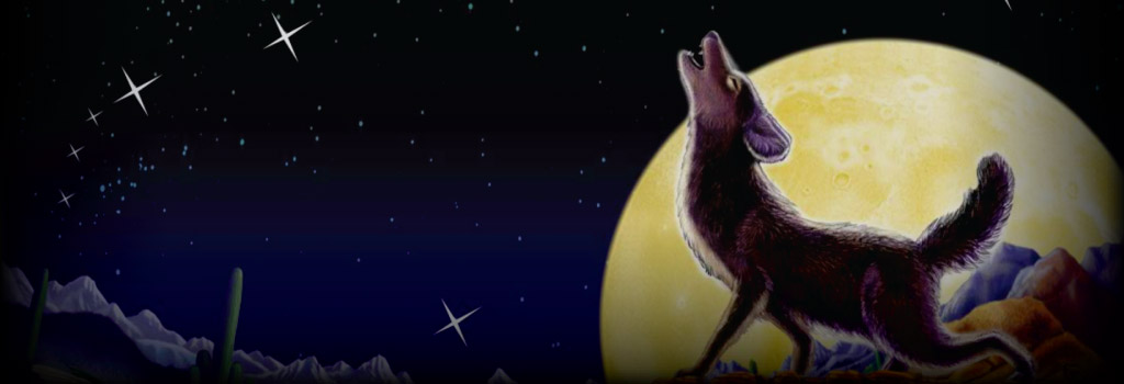 Coyote Moon Background Image
