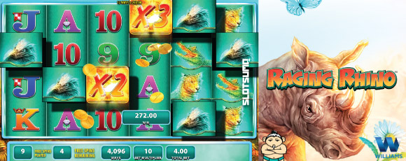 Raging Rhino Online Slot Win Example
