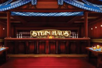 Stein Huas Slot Logo