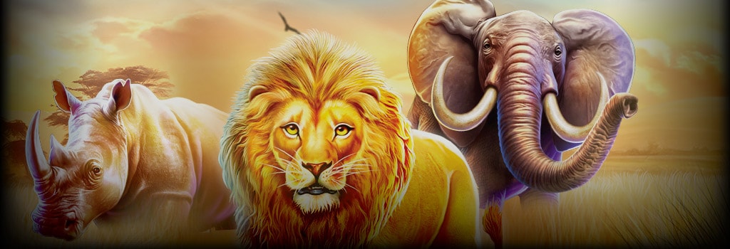 Safari King Background Image