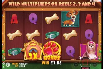 The Dog House Video Slot